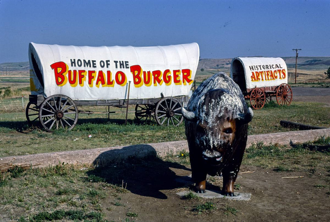 Historic Photo : 1980 Al's Oasis buffalo and covered wagon statues, B-90, Oacoma, South Dakota | Margolies | Roadside America Collection | Vintage Wall Art :