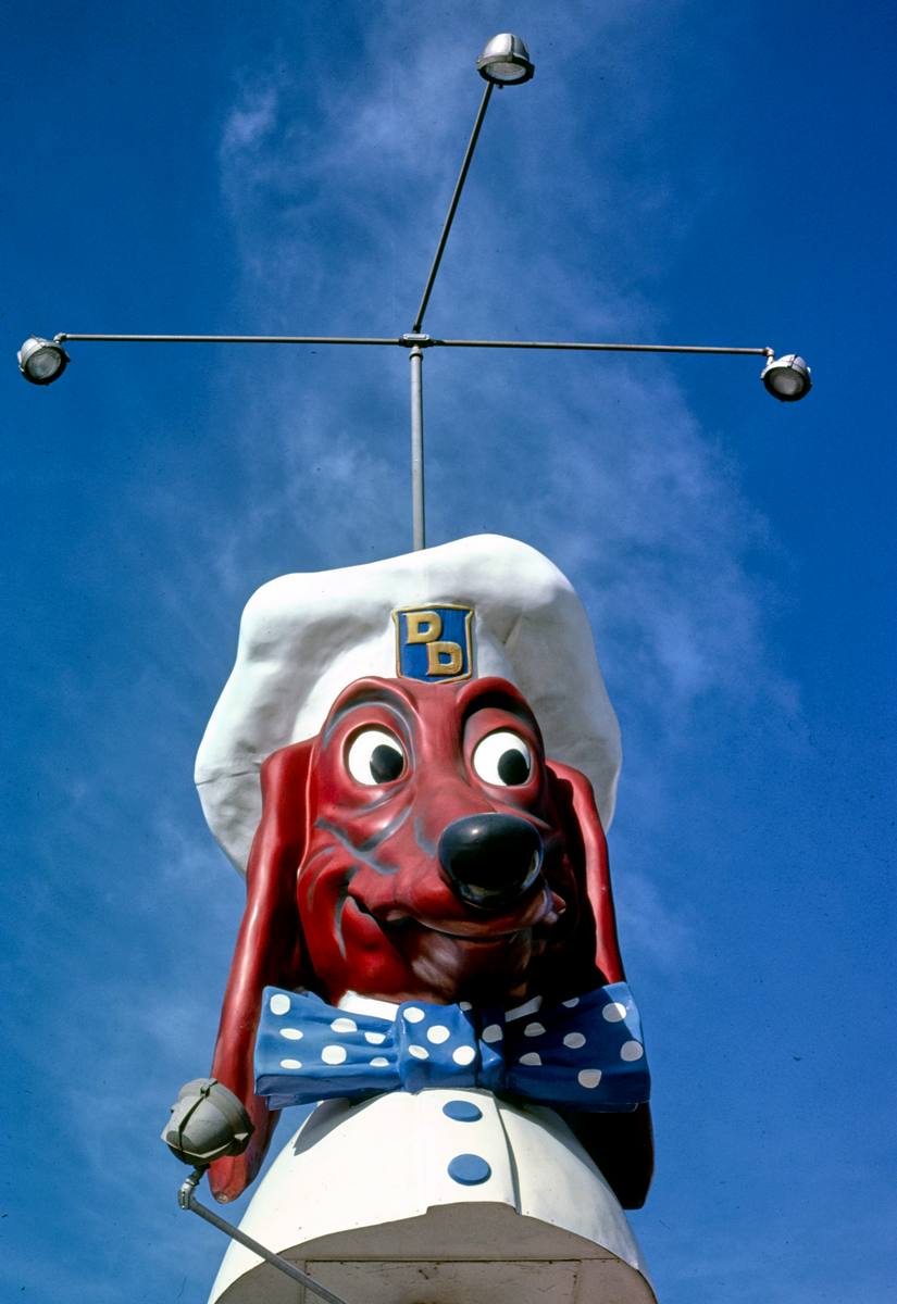 Historic Photo : 1977 Doggie Diner sign, McArthur Boulevard & San Pablo, Oakland, California | Margolies | Roadside America Collection | Vintage Wall Art :