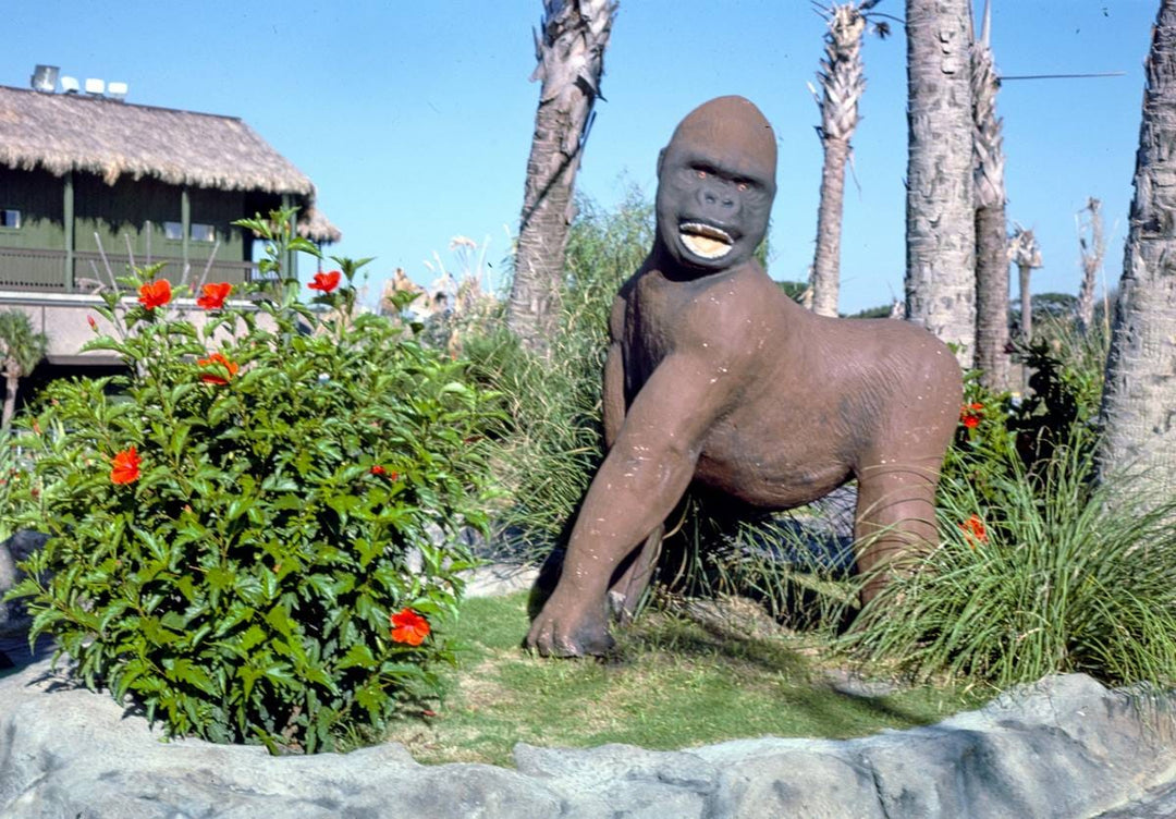 Historic Photo : 1985 Gorilla, Gorilla Country Golf, Atlantic Beach, North Carolina | Margolies | Roadside America Collection | Vintage Wall Art :