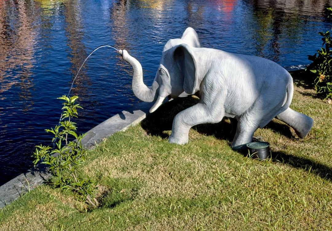 Historic Photo : 1985 Elephant fountain, Gorilla Country Golf, Atlantic Beach, North Carolina | Margolies | Roadside America Collection | Vintage Wall Art :