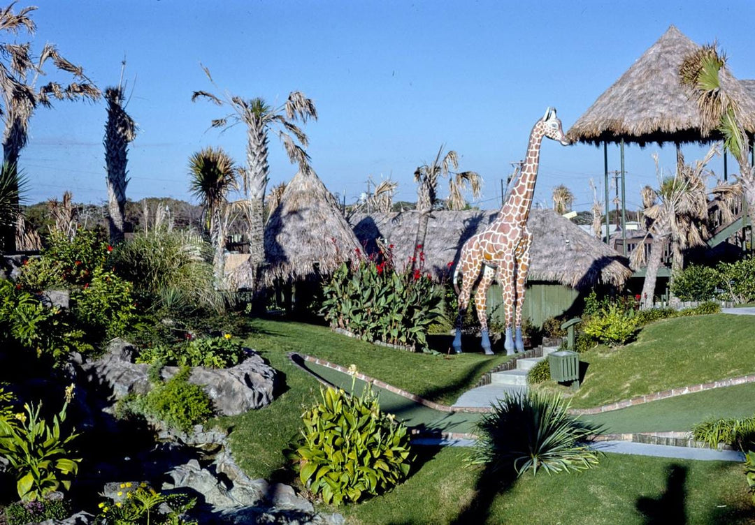 Historic Photo : 1985 Giraffe, Jungleland miniature golf, Atlantic Beach, North Carolina | Margolies | Roadside America Collection | Vintage Wall Art :