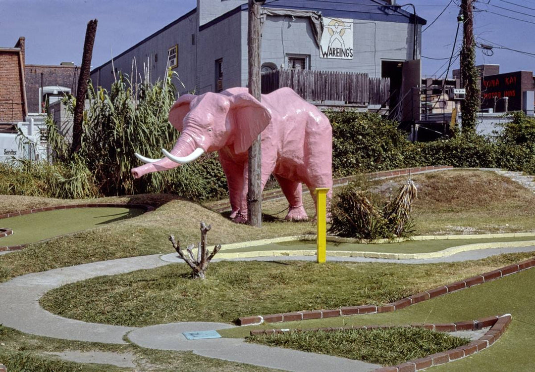 Historic Photo : 1985 Pink elephant, Around the World in Mini-Golf, Virginia Beach, Virginia | Margolies | Roadside America Collection | Vintage Wall Art :