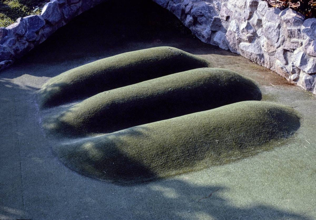 Historic Photo : 1985 Three mound hole, Jungle Lagoon Golf, Myrtle Beach, South Carolina | Margolies | Roadside America Collection | Vintage Wall Art :