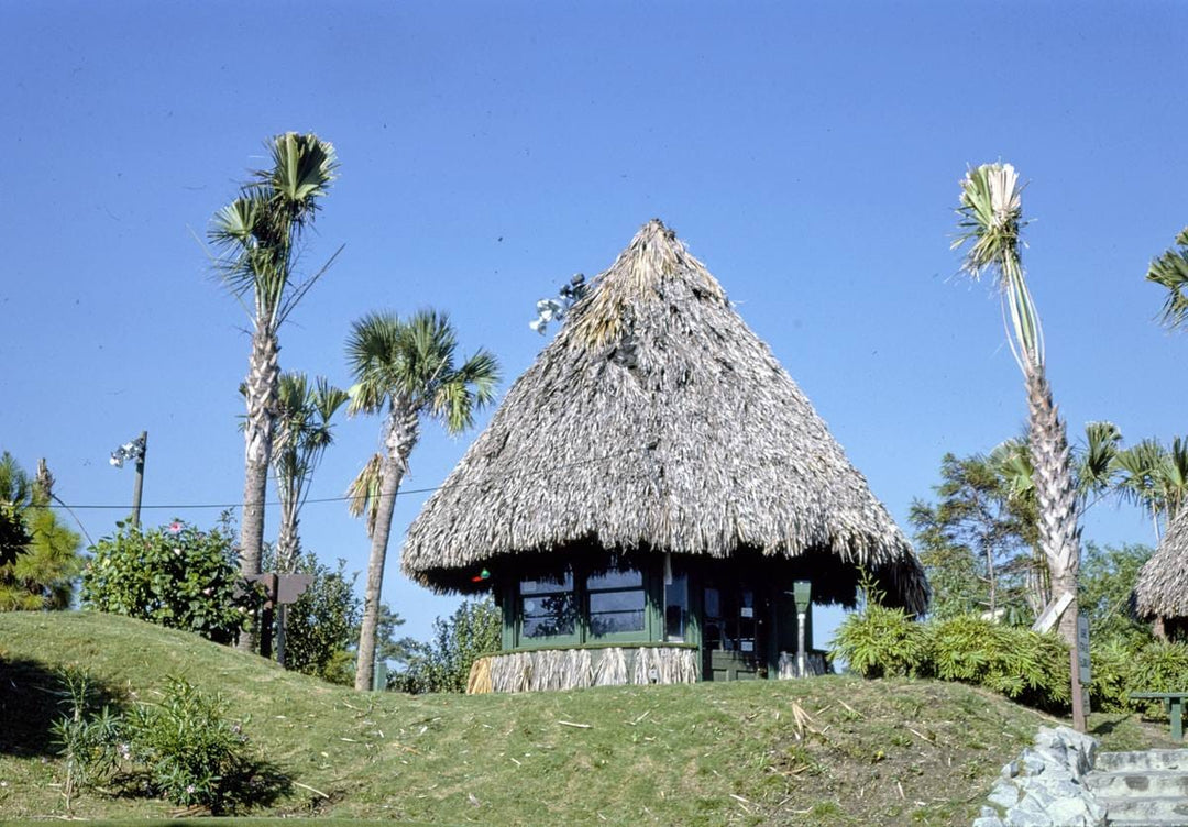 Historic Photo : 1985 Office, Jungle Lagoon Golf, Myrtle Beach, South Carolina | Margolies | Roadside America Collection | Vintage Wall Art :