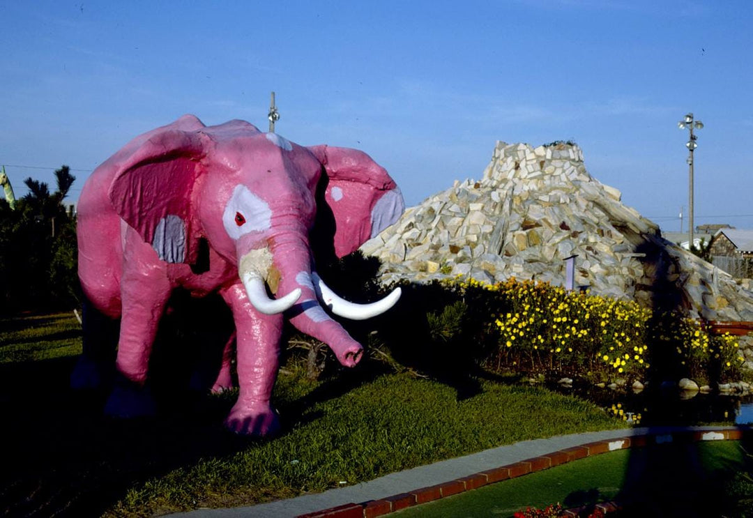 Historic Photo : 1985 Pink elephant, Deep Africa mini golf, Nags Head, North Carolina | Margolies | Roadside America Collection | Vintage Wall Art :