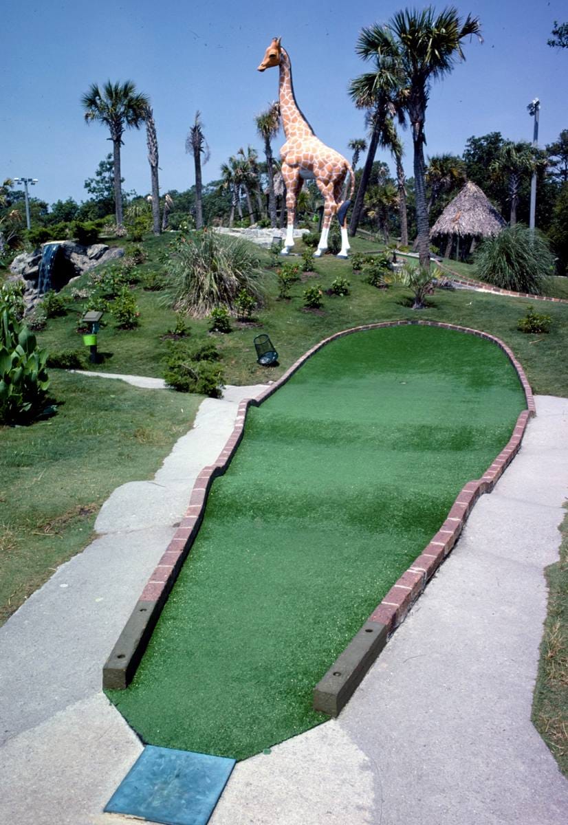 Historic Photo : 1979 Giraffe, Jungle Golf, Myrtle Beach, South Carolina | Margolies | Roadside America Collection | Vintage Wall Art :