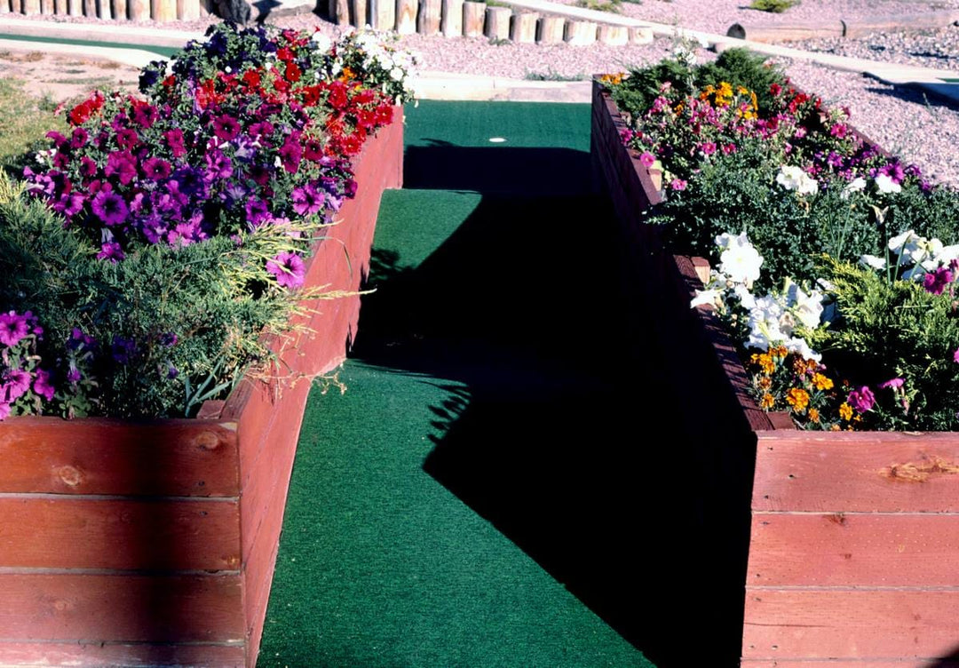 Historic Photo : 1987 Roller coaster ramp, Putter's Paradise mini golf at New Wave Park, Missoula, Montana | Margolies | Roadside America Collection | Vintage Wall Art :