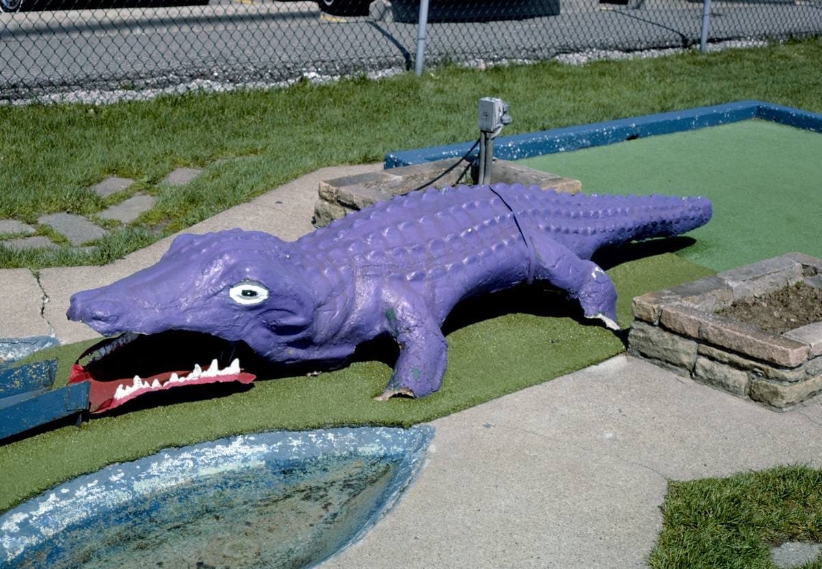 Historic Photo : 1986 Purple gator entire, Jawor's Fun Golf, Roseville, Michigan | Margolies | Roadside America Collection | Vintage Wall Art :