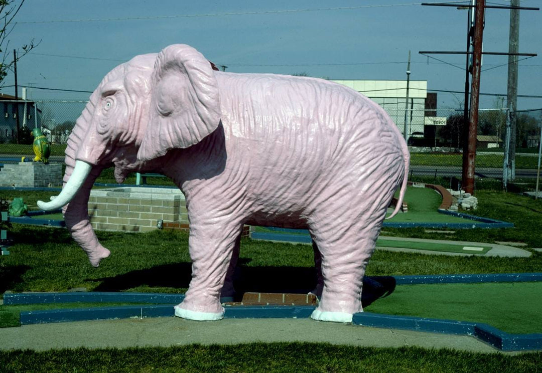 Historic Photo : 1986 Pink elephant, Jawor's Fun Golf, Roseville, Michigan | Margolies | Roadside America Collection | Vintage Wall Art :