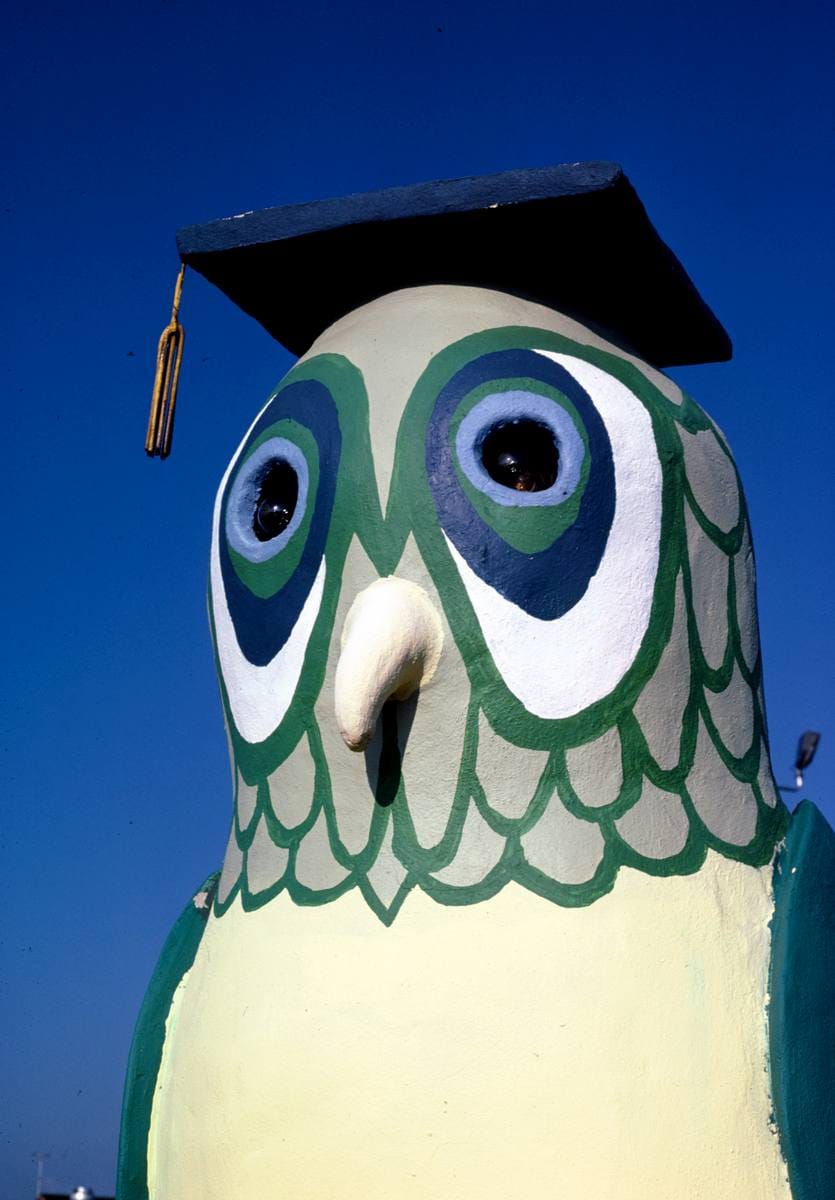 Historic Photo : 1986 Owl detail, Sir Goony Golf, Chattanooga, Tennessee | Margolies | Roadside America Collection | Vintage Wall Art :