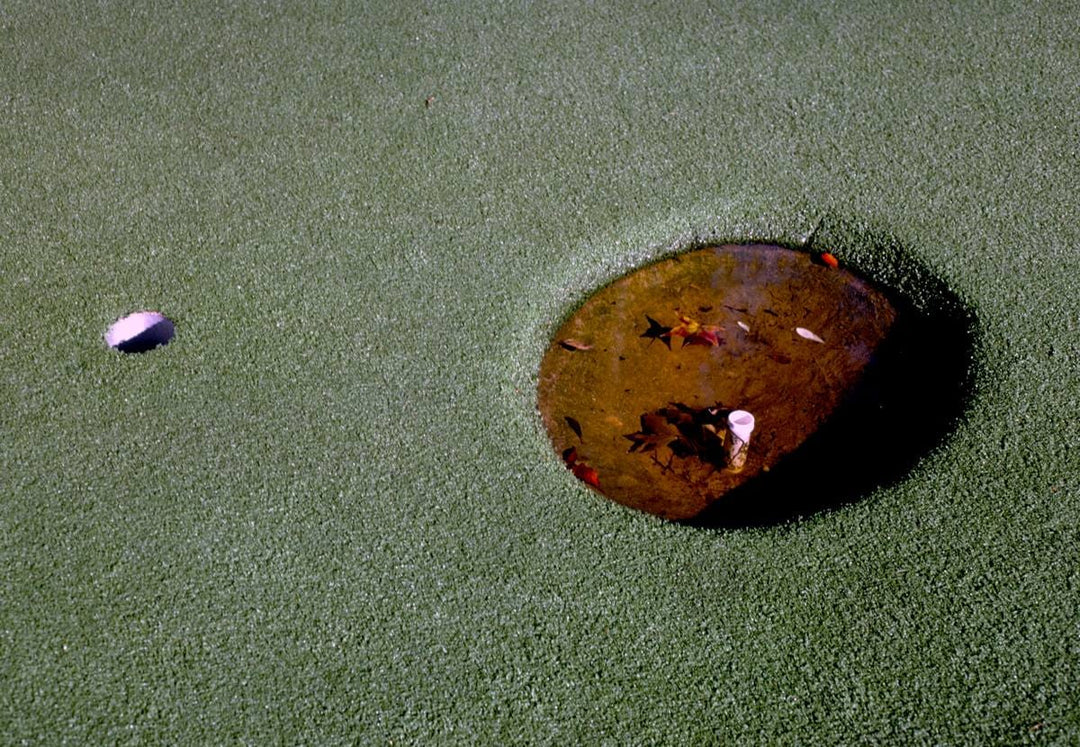 Historic Photo : 1985 Big hole and small hole, Plantation Falls Legendary Golf, Hilton Head Island, South Carolina | Photo by: John Margolies |