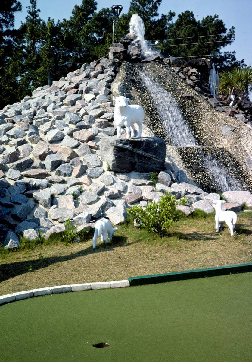 Historic Photo : 1979 Sheep on waterfall, Plantation Golf I, Myrtle Beach, South Carolina | Margolies | Roadside America Collection | Vintage Wall Art :