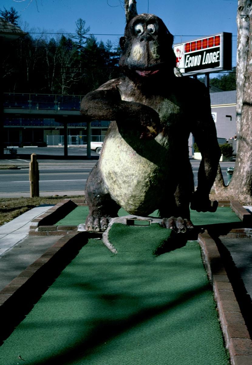 Historic Photo : 1984 Gorilla, Jolly Golf, Route 441, Gatlinburg, Tennessee | Margolies | Roadside America Collection | Vintage Wall Art :