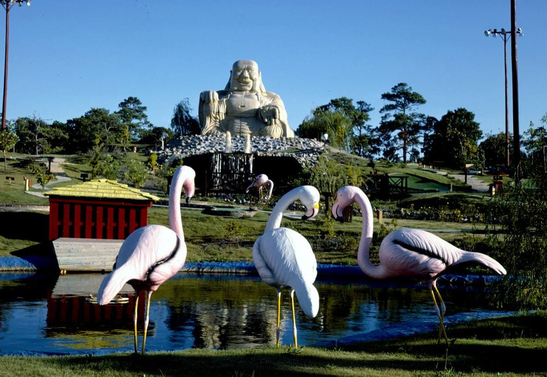 Historic Photo : 1985 Three flamingos, Golden Dragon Golf, North Myrtle Beach, South Carolina | Margolies | Roadside America Collection | Vintage Wall Art :