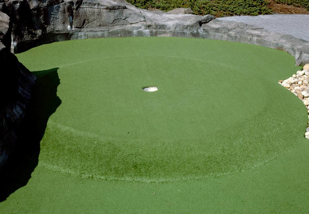 Historic Photo : 1985 Circular raised lip hole, Moby Dick Golf, Myrtle Beach, South Carolina | Margolies | Roadside America Collection | Vintage Wall Art :