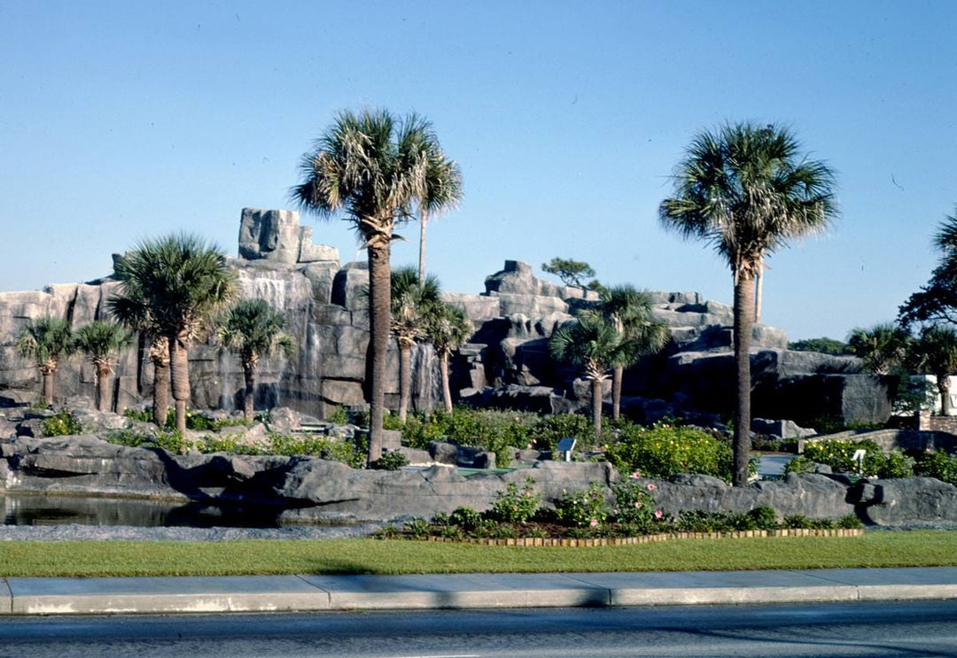 Historic Photo : 1985 Overall 1, Moby Dick Golf, Myrtle Beach, South Carolina | Margolies | Roadside America Collection | Vintage Wall Art :