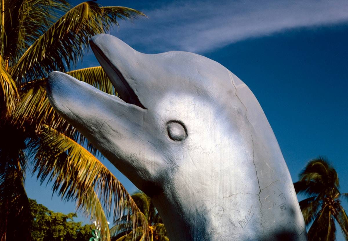 Historic Photo : 1985 Dolphin statue, Magic Carpet Golf, Key West, Florida | Margolies | Roadside America Collection | Vintage Wall Art :