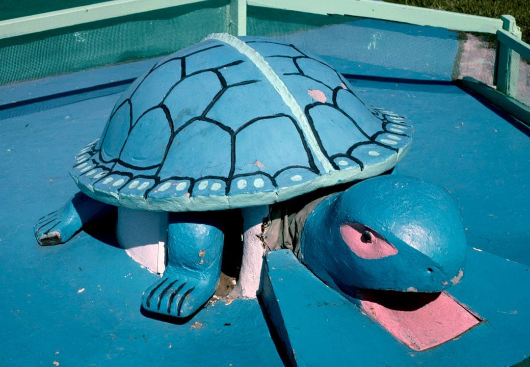 Historic Photo : 1984 Turtle, Penguin Turtle miniature golf, Routes 7 and 20, Lenox, Massachusetts | Margolies | Roadside America Collection | Vintage Wall Art :