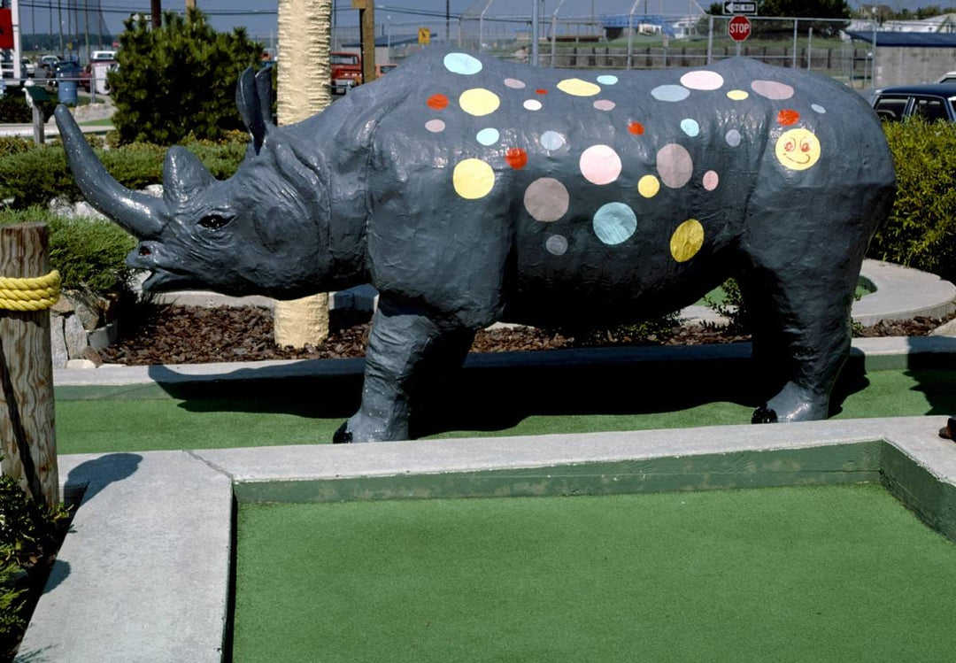 Historic Photo : 1985 Spotted rhino hole, Bamboo Golf, Ocean City, Maryland | Margolies | Roadside America Collection | Vintage Wall Art :