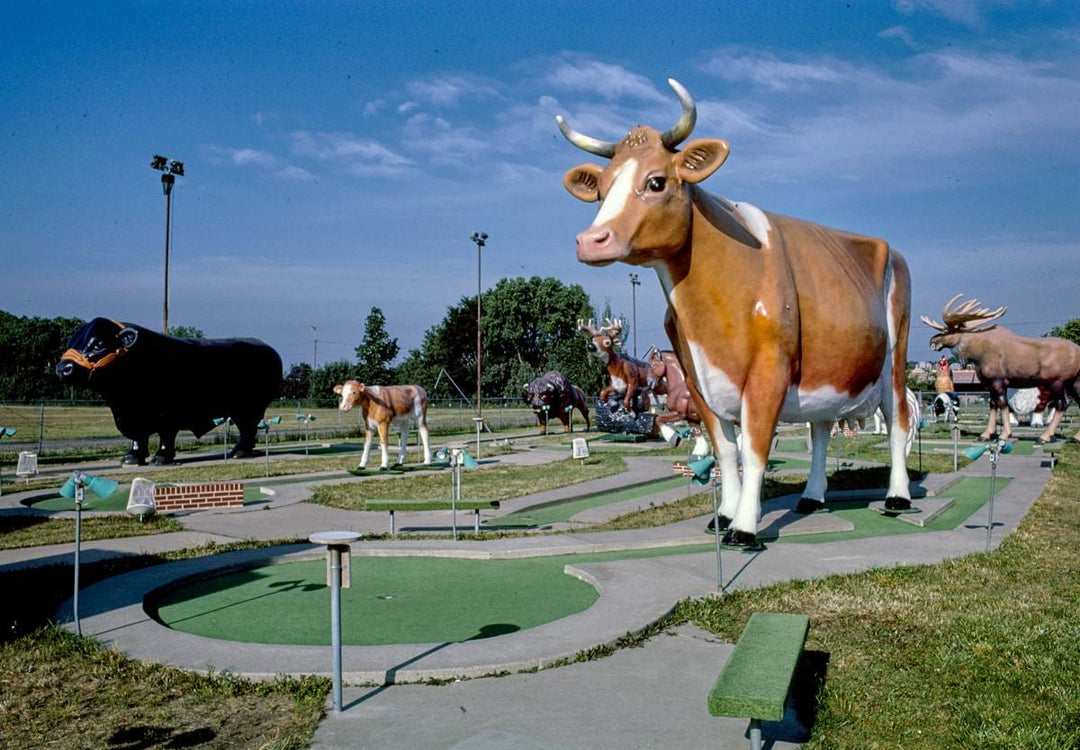 Historic Photo : 1984 Overall, Fairway Golf, 1700 Como Avenue, St. Paul, Minnesota | Margolies | Roadside America Collection | Vintage Wall Art :