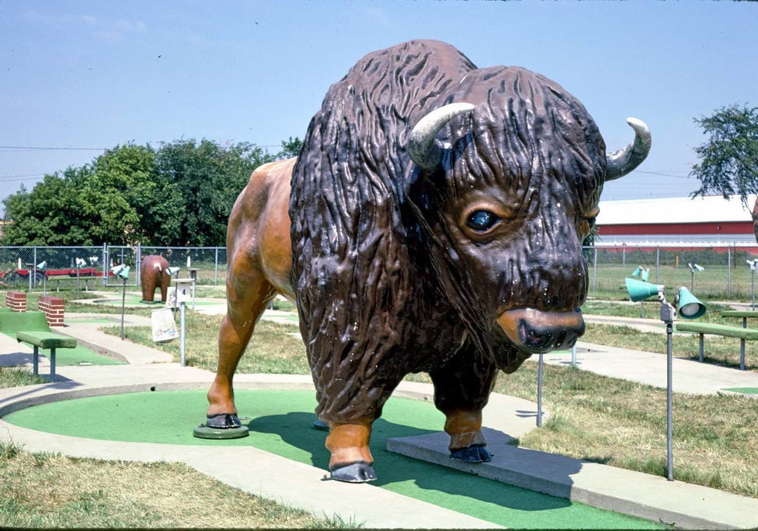 Historic Photo : 1984 Buffalo front, Fairway Golf, 1700 Como Avenue, St. Paul, Minnesota | Margolies | Roadside America Collection | Vintage Wall Art :