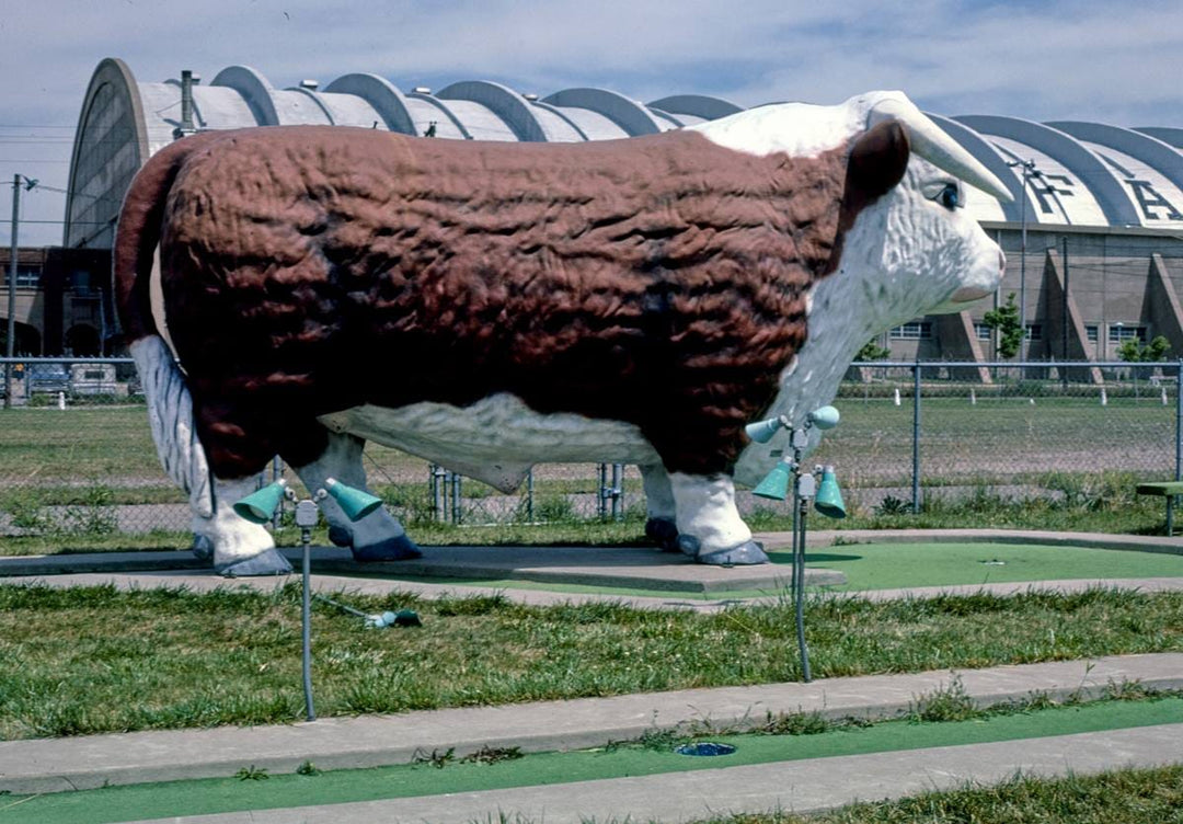 Historic Photo : 1984 Bull side view, Fairway Golf, 1700 Como Avenue, St. Paul, Minnesota | Margolies | Roadside America Collection | Vintage Wall Art :