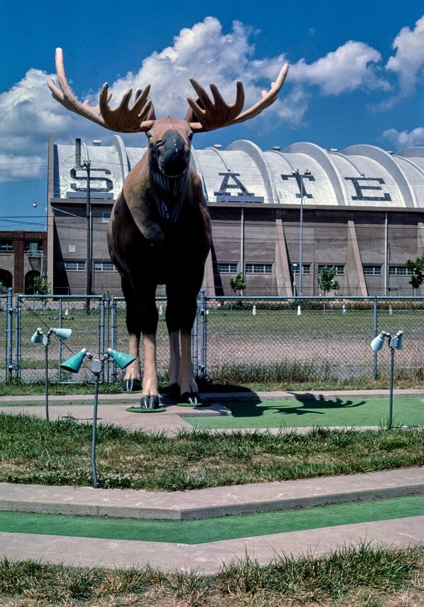 Historic Photo : 1984 Moose, Fairway Golf, 1700 Como Avenue, St. Paul, Minnesota | Margolies | Roadside America Collection | Vintage Wall Art :