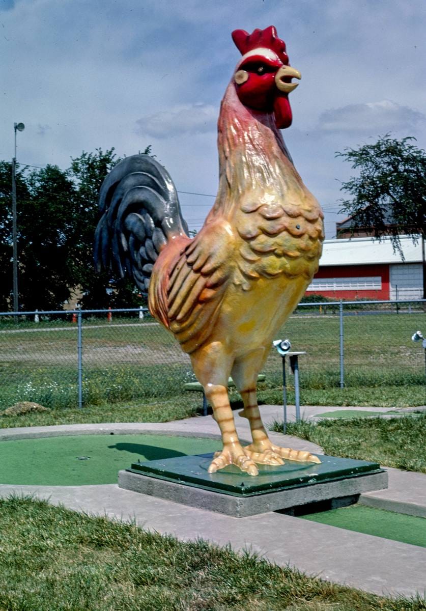 Historic Photo : 1984 Chicken, three-quarters view, Fairway Golf, 1700 Como Avenue, St. Paul, Minnesota | Margolies | Roadside America Collection | Vintage Wall Art :