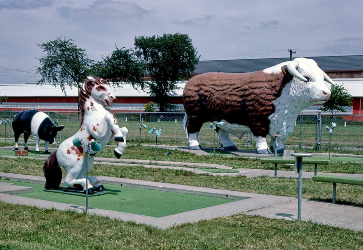 Historic Photo : 1984 Horse and bull, Fairway Golf, 1700 Como Avenue, St. Paul, Minnesota | Margolies | Roadside America Collection | Vintage Wall Art :