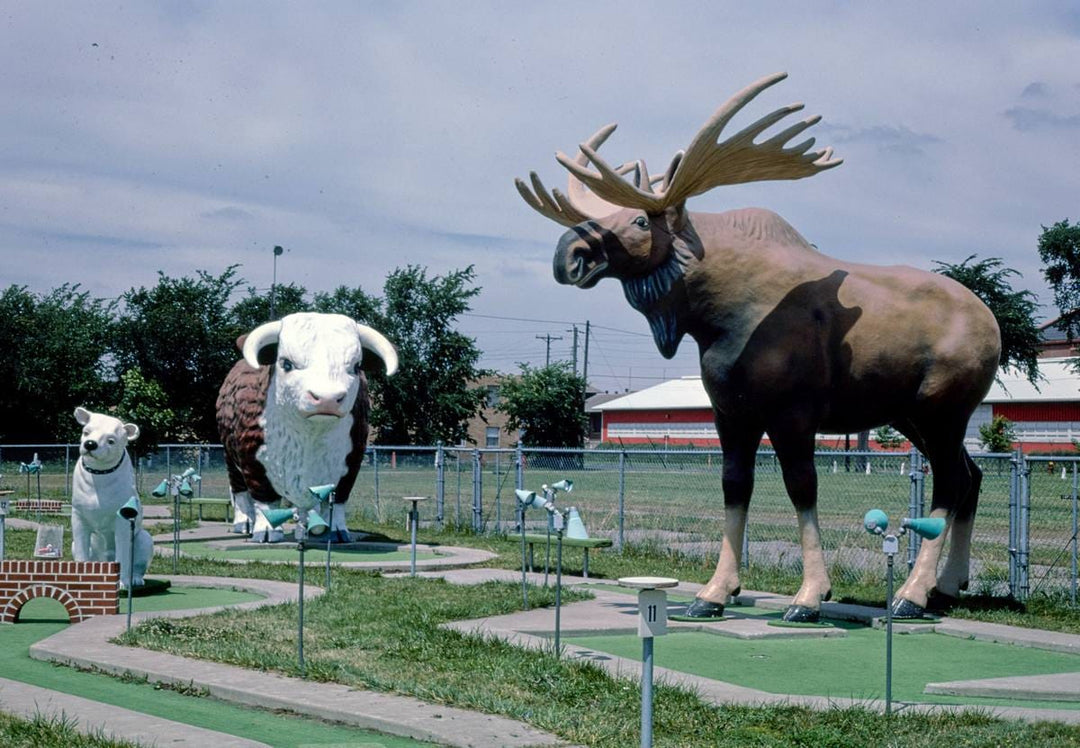 Historic Photo : 1984 Nipper, bull and moose, Fairway Golf, 1700 Como Avenue, St. Paul, Minnesota | Margolies | Roadside America Collection | Vintage Wall Art :