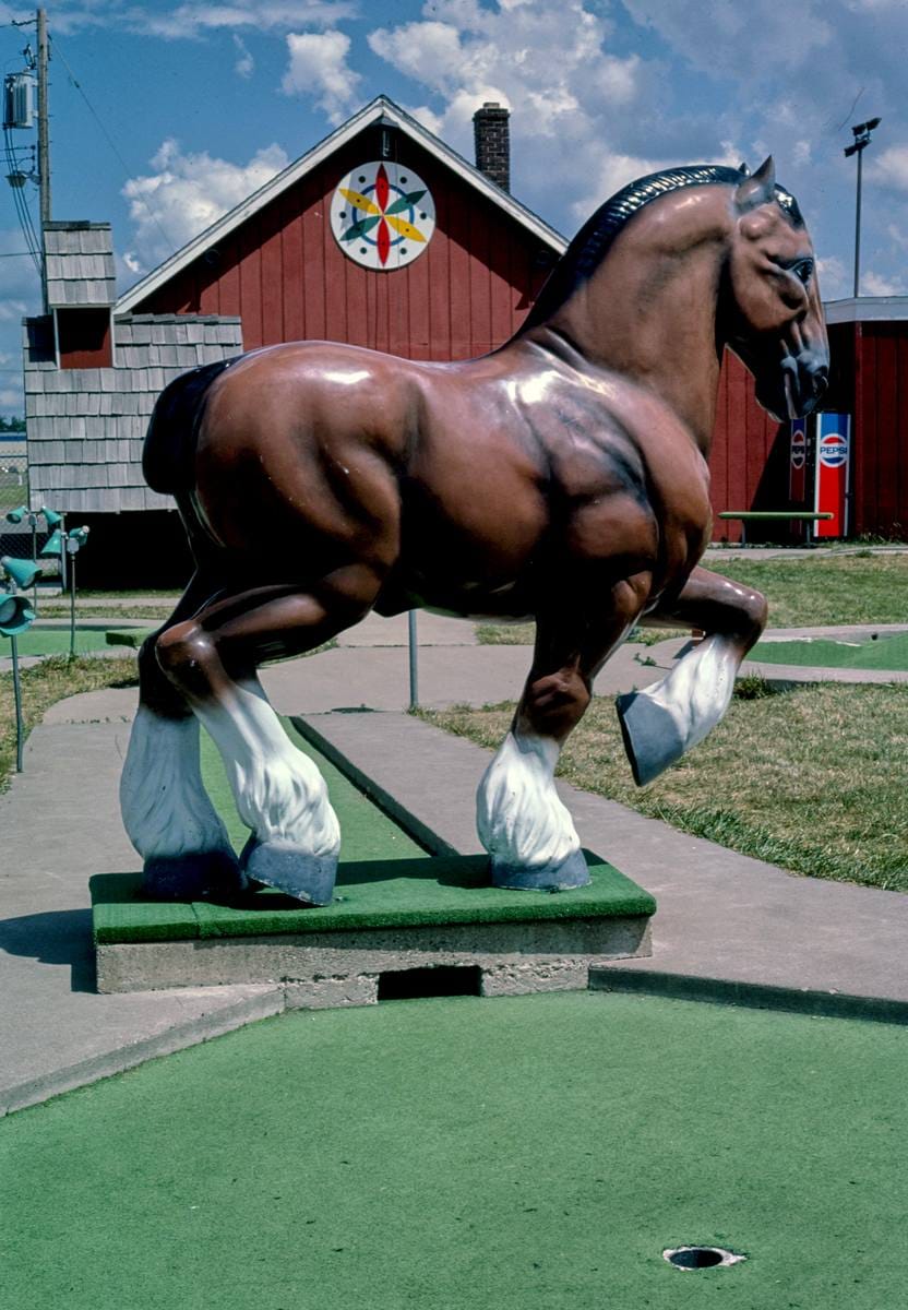 Historic Photo : 1984 Clydesdale horse, Fairway Golf, 1700 Como Avenue, St. Paul, Minnesota | Margolies | Roadside America Collection | Vintage Wall Art :