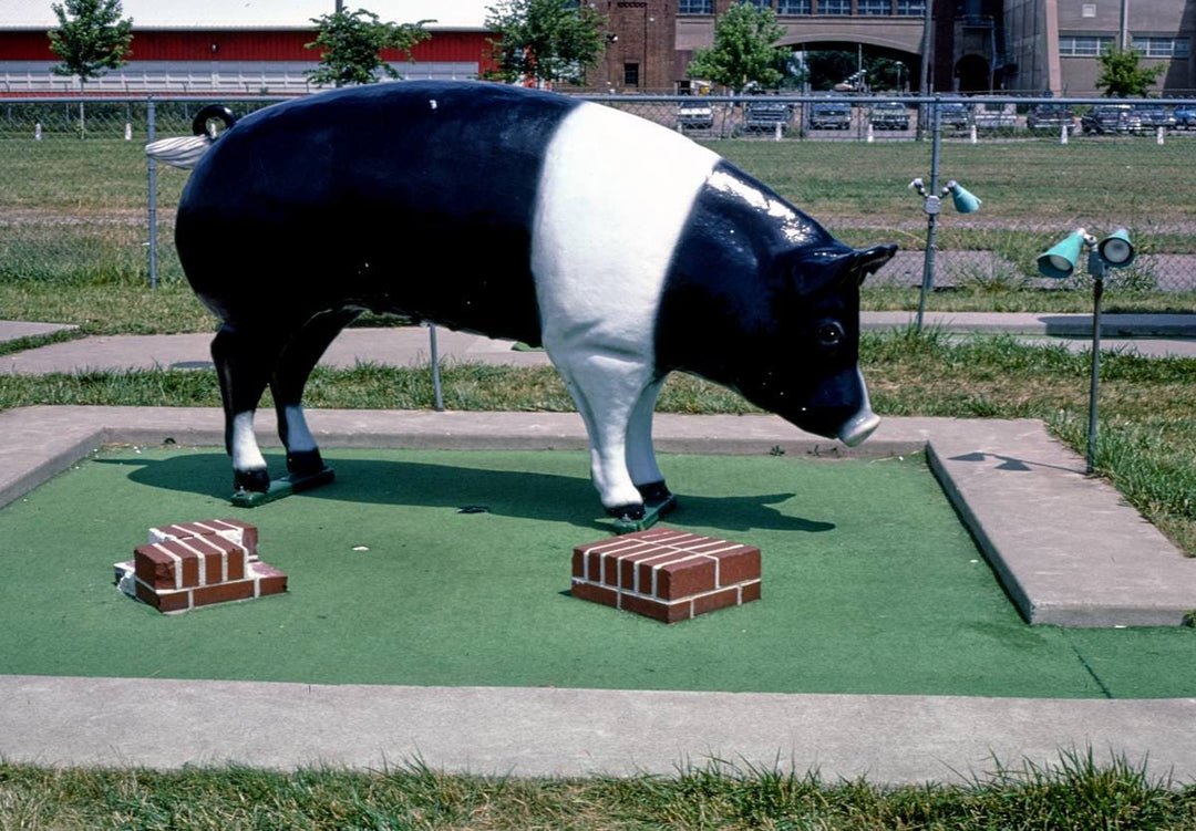 Historic Photo : 1984 Pig, Fairway Golf, 1700 Como Avenue, St. Paul, Minnesota | Margolies | Roadside America Collection | Vintage Wall Art :