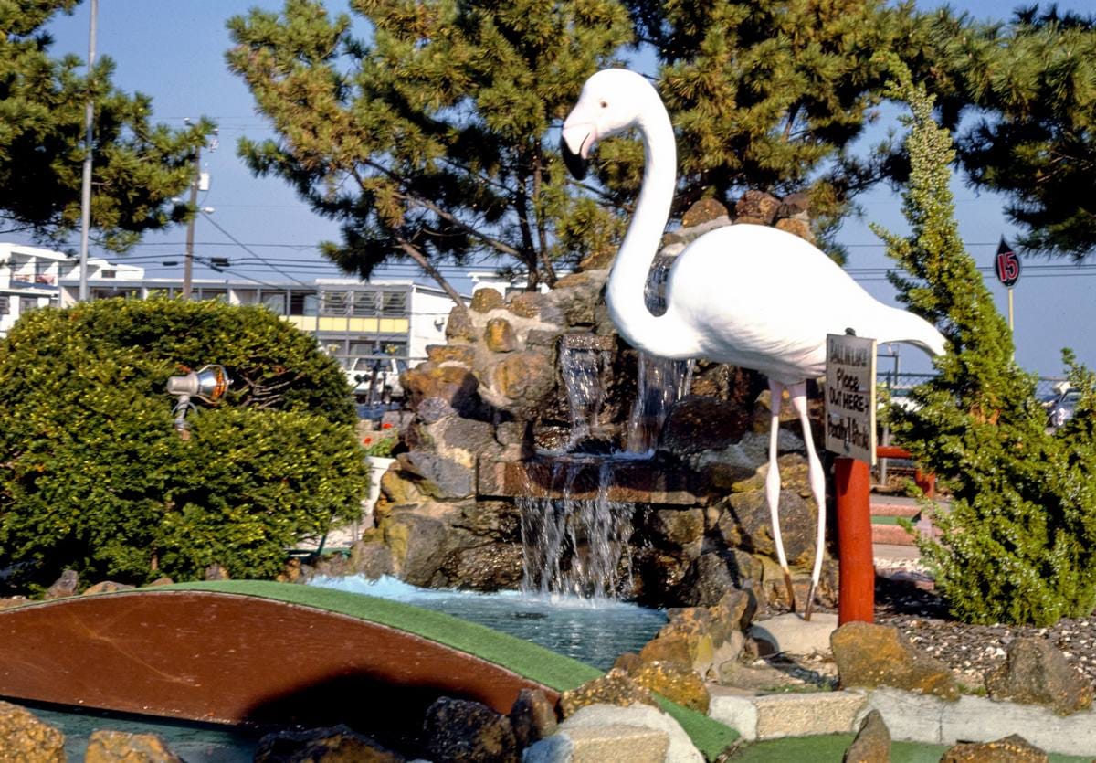 Historic Photo : 1985 Old Pro Golf, Hawaiian course. Flamingo fountain, Ocean City, Maryland | Margolies | Roadside America Collection | Vintage Wall Art :