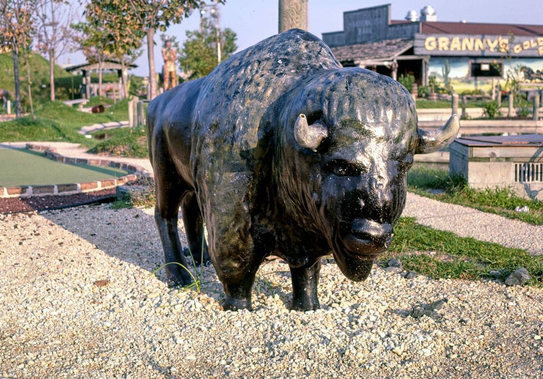 Historic Photo : 1985 Buffalo, Gold Rush Golf, Ocean City, Maryland | Margolies | Roadside America Collection | Vintage Wall Art :