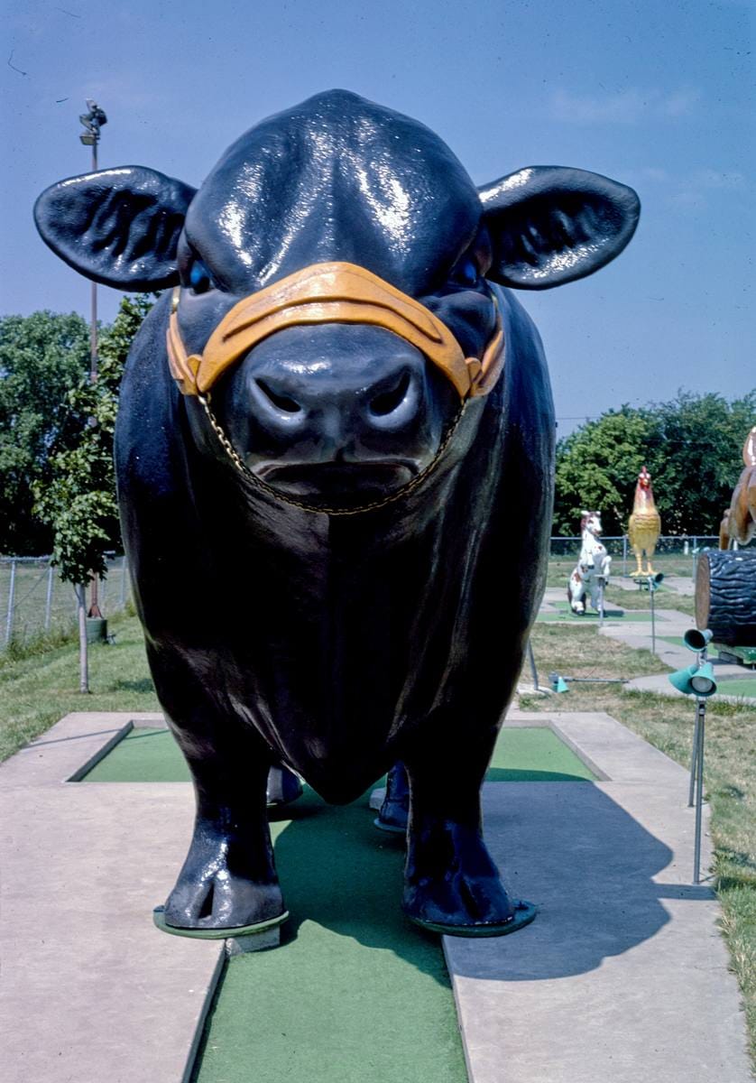 Historic Photo : 1984 Black bull hole, Fairway Golf, 1700 Como Avenue, St. Paul, Minnesota | Margolies | Roadside America Collection | Vintage Wall Art :