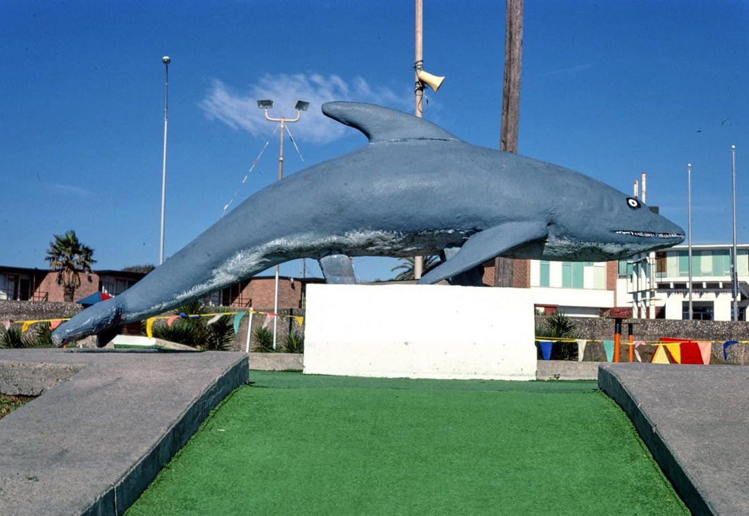 Historic Photo : 1986 Porpoise, Stewart Beach mini golf, Galveston, Texas | Margolies | Roadside America Collection | Vintage Wall Art :