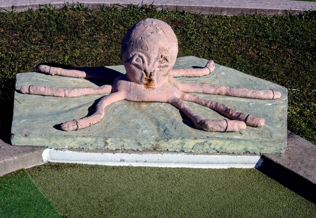 Historic Photo : 1986 Octopus, Stewart Beach mini golf, Galveston, Texas | Margolies | Roadside America Collection | Vintage Wall Art :