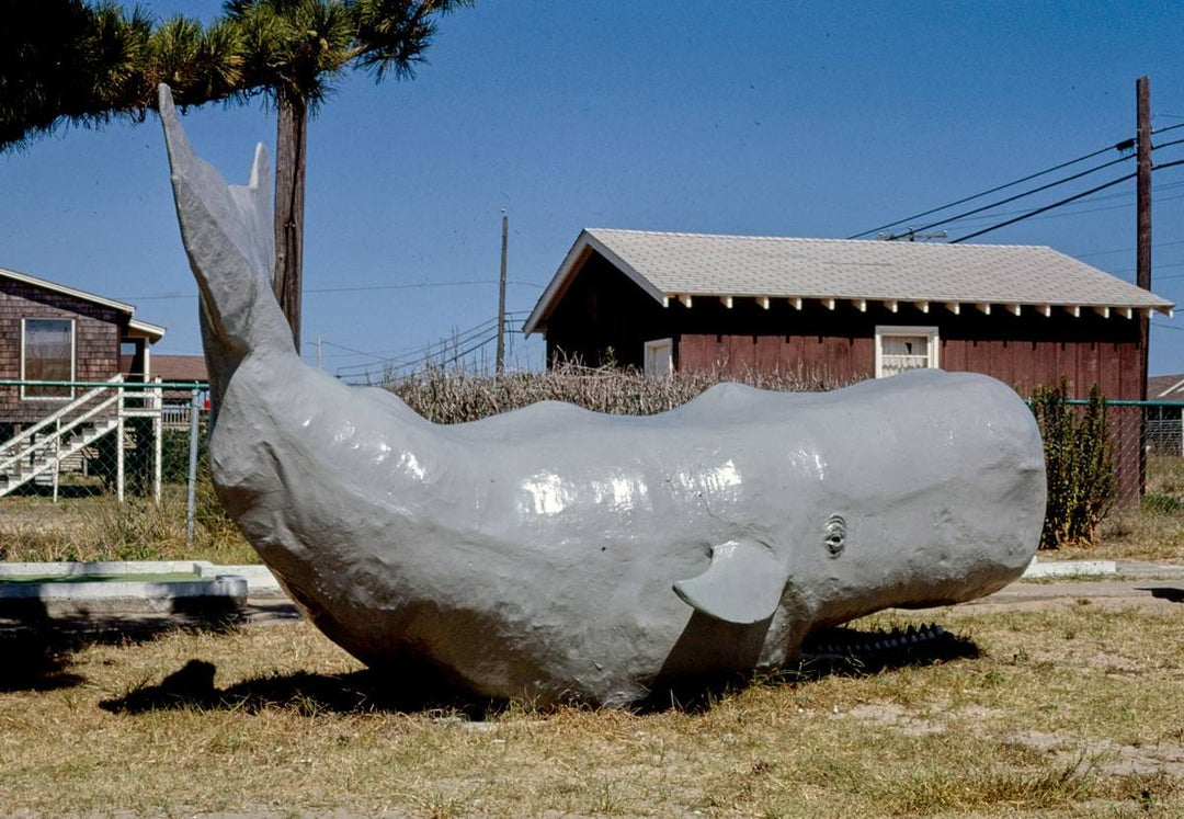 Historic Photo : 1985 Whale, Forbes Carpet Golf, Nags Head, North Carolina | Margolies | Roadside America Collection | Vintage Wall Art :