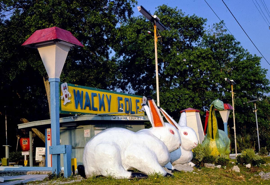 Historic Photo : 1979 Wacky Golf sign, Wacky Golf, Jacksonville, Florida | Margolies | Roadside America Collection | Vintage Wall Art :