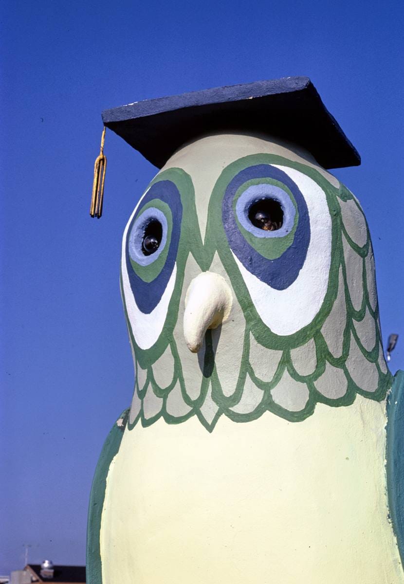 Historic Photo : 1986 Owl detail, Sir Goony mini golf, Chattanooga, Tennessee | Margolies | Roadside America Collection | Vintage Wall Art :