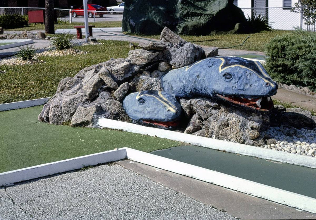 Historic Photo : 1985 Snakes hole, Holiday Golf, Daytona Shores, Florida | Margolies | Roadside America Collection | Vintage Wall Art :