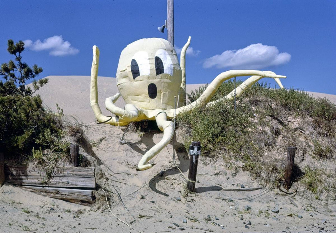 Historic Photo : 1985 Jocky's Ridge mini golf, octopus, Nags Head, North Carolina | Margolies | Roadside America Collection | Vintage Wall Art :