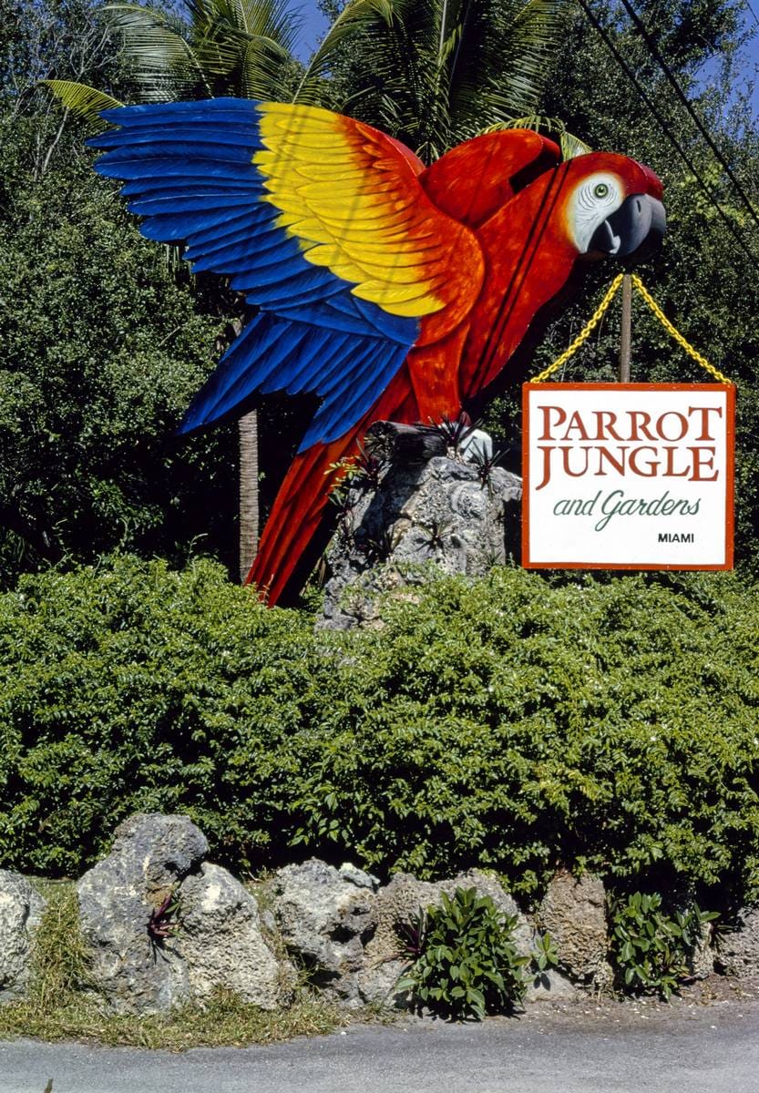 Historic Photo : 1990 Parrot Jungle, Miami, Florida | Margolies | Roadside America Collection | Vintage Wall Art :