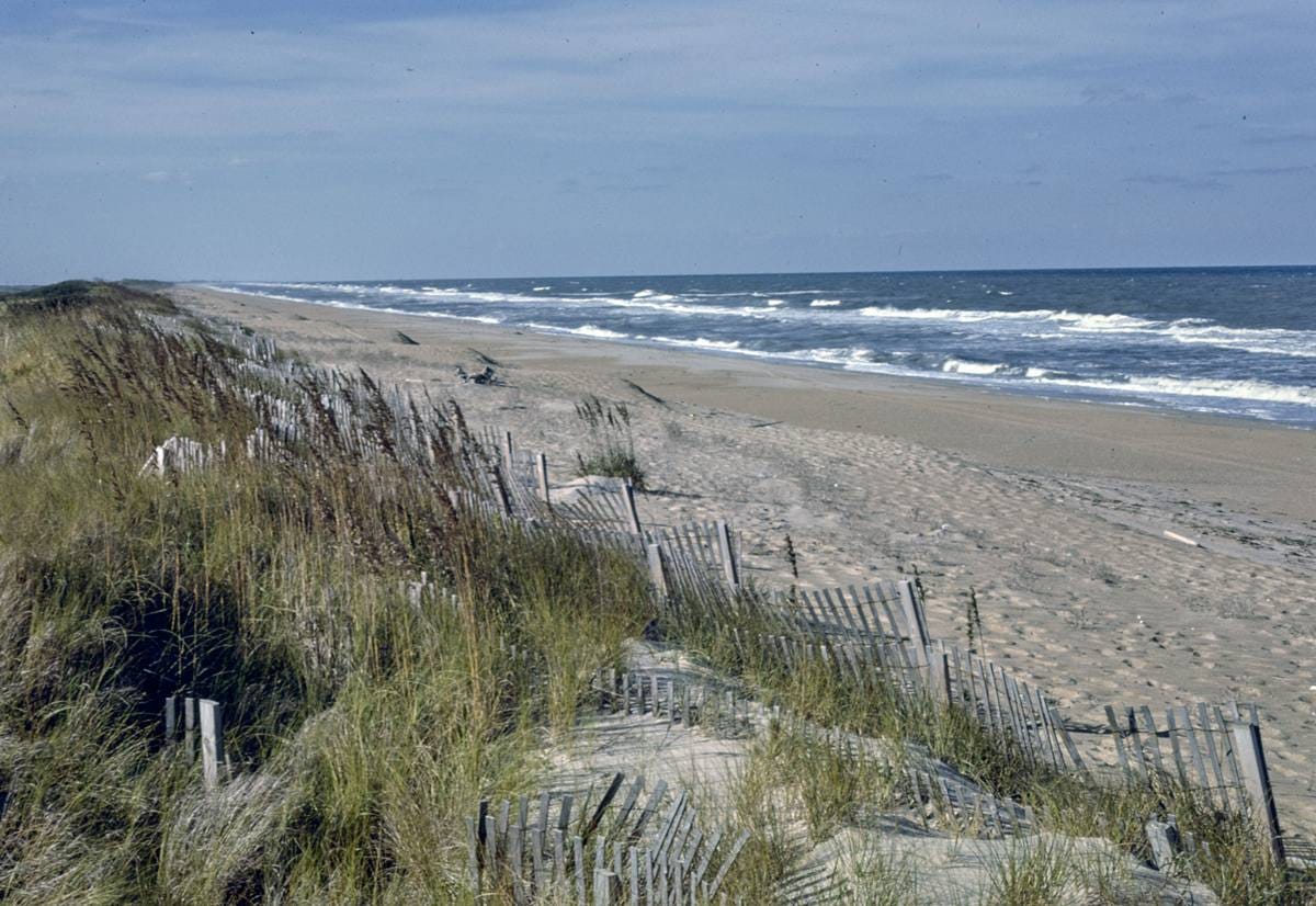 Historic Photo : 1985 View of beach and ocean from Sanderling Inn, Duck, North Carolina | Margolies | Roadside America Collection | Vintage Wall Art :