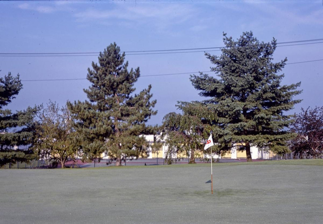 Historic Photo : 1978 Pines, from golf course, New York | Margolies | Roadside America Collection | Vintage Wall Art :