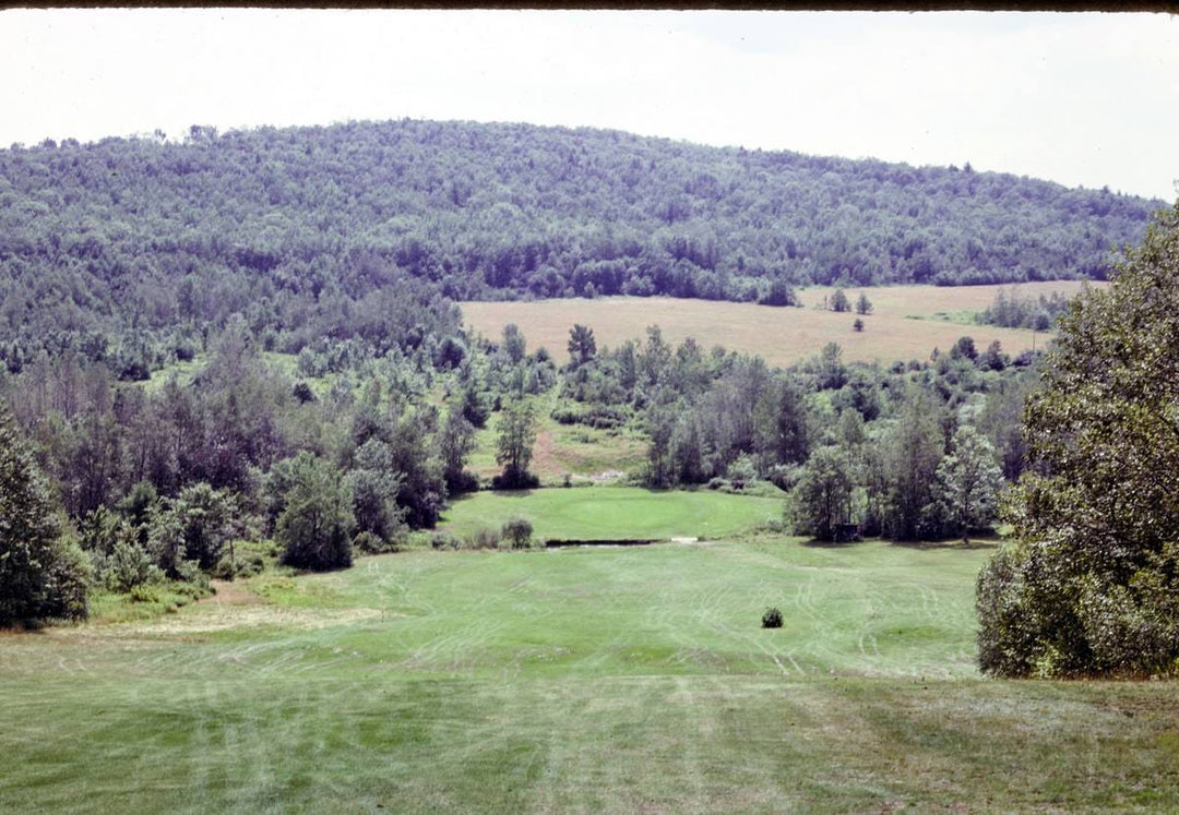 Historic Photo : 1992 Scott's golf course, Deposit, New York | Margolies | Roadside America Collection | Vintage Wall Art :