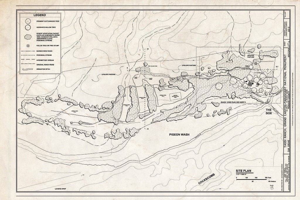 Blueprint 2. Site Plan - Tassi Ranch, Tassi Springs, Littlefield, Mohave County, AZ