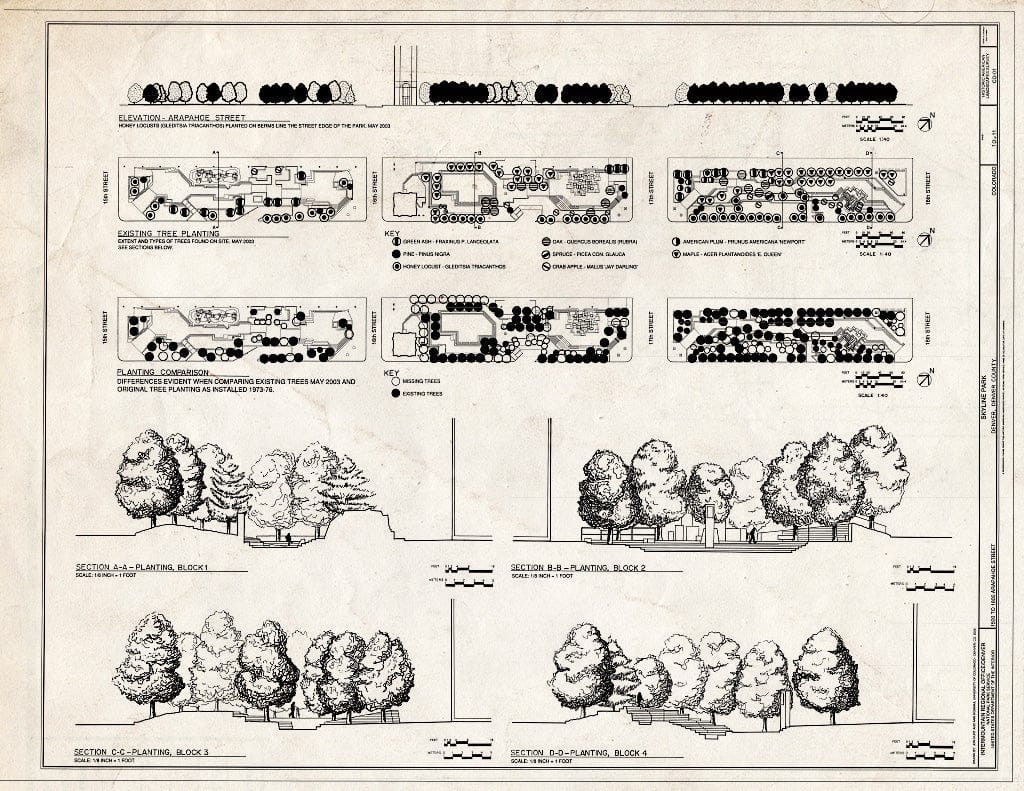 Blueprint Elevation - Arapahoe Street, Existing Tree Planting, Planting Comparison, Planting Sections - Skyline Park, 1500-1800 Arapaho Street, Denver, Denver County, CO