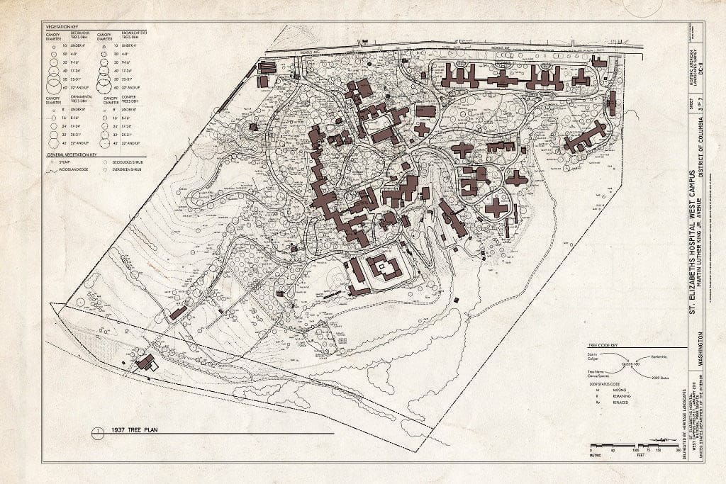 Blueprint 1937 Tree Plan - St. Elizabeths Hospital West Campus, 2700 Martin Luther King Jr. Avenue, Southeast, Washington, District of Columbia, DC