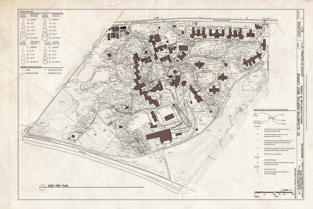 Blueprint 2009 Tree Plan - St. Elizabeths Hospital West Campus, 2700 Martin Luther King Jr. Avenue, Southeast, Washington, District of Columbia, DC